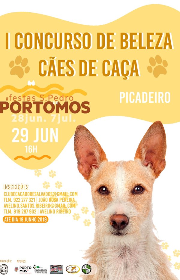 cartaz_caes_de_caca