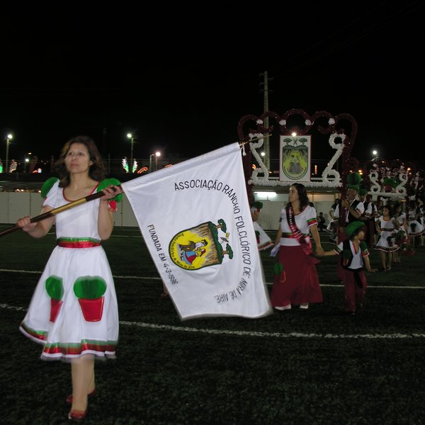 festas_s_pedro_marchas_2008_166