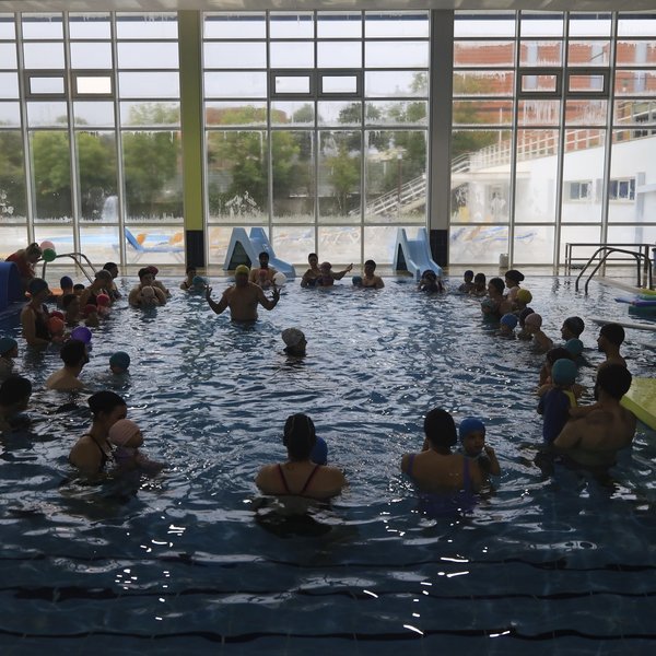 Festival Natação