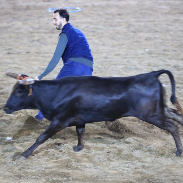 Vacada