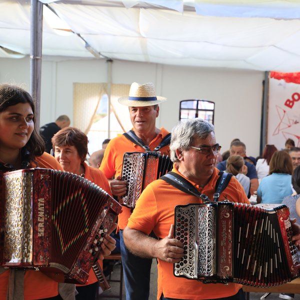 Concertinas Cabeça Veada