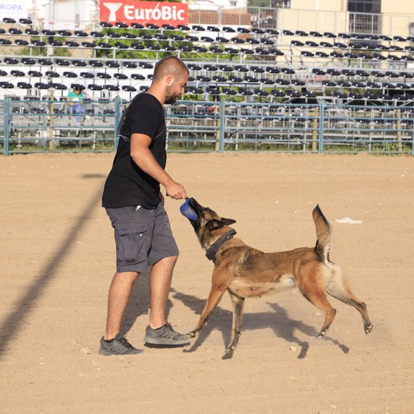 Demonstração Canina