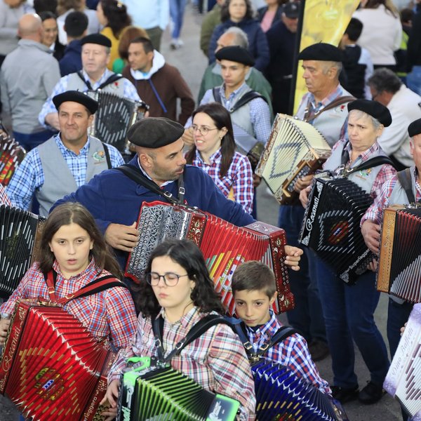 Concertinas Barrenta