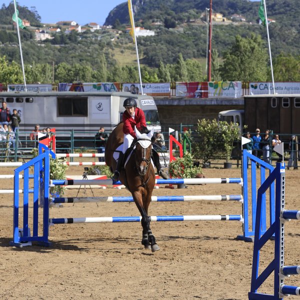 Hipismo
