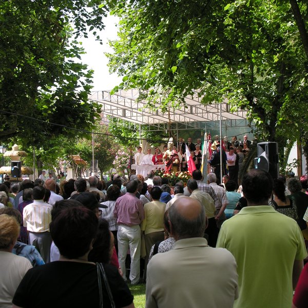 festas_s_pedro_procissao_2008_26