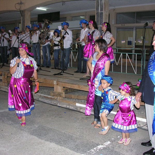 festas_s_pedro_marchas_2008_28