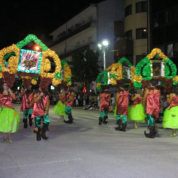 festas_s_pedro_marchas_2008_113