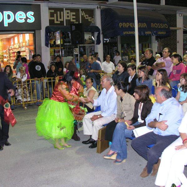 festas_s_pedro_marchas_2008_115
