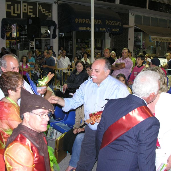 festas_s_pedro_marchas_2008_117