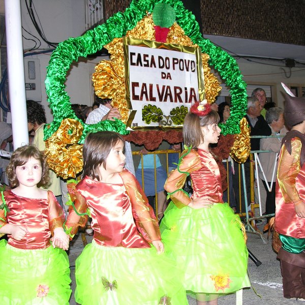 festas_s_pedro_marchas_2008_124