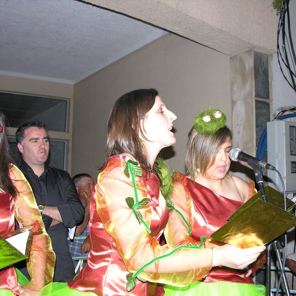 festas_s_pedro_marchas_2008_127