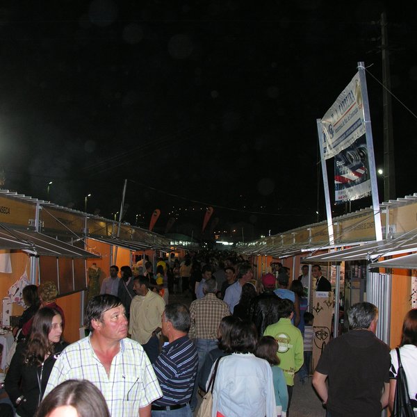 festas_s_pedro_marchas_2008_132