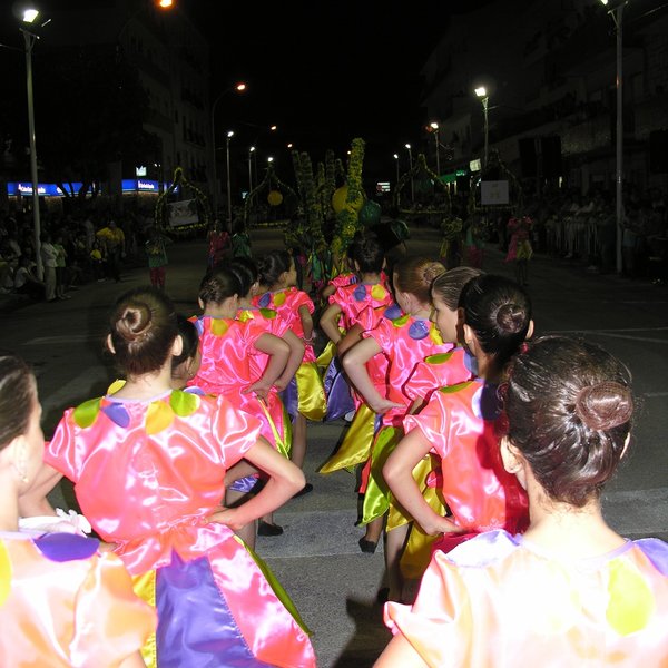 festas_s_pedro_marchas_2008_66