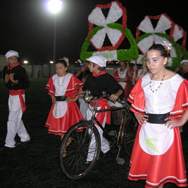 festas_s_pedro_marchas_2008_149