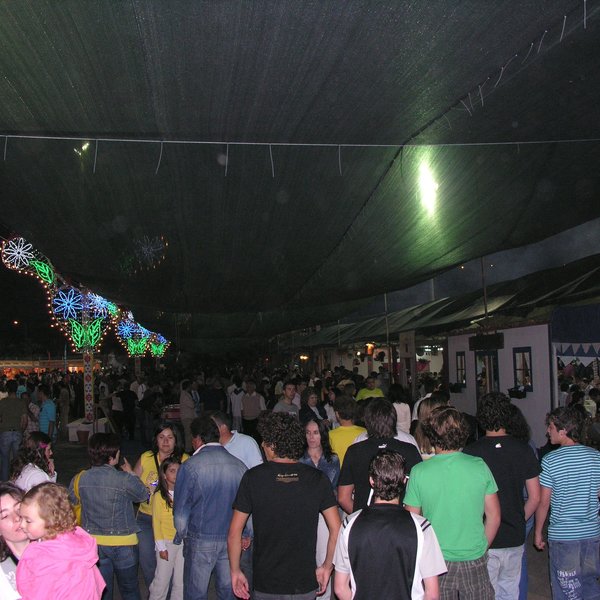 festas_s_pedro_marchas_2008_134