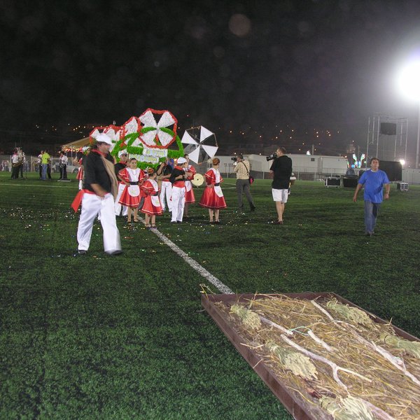 festas_s_pedro_marchas_2008_153