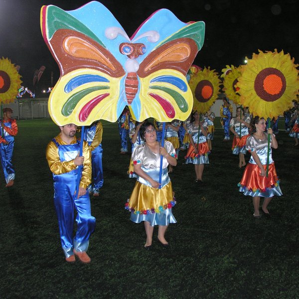 festas_s_pedro_marchas_2008_138