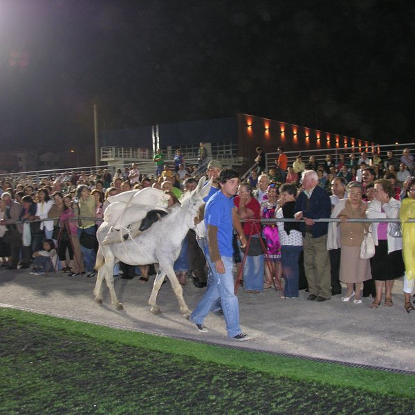 festas_s_pedro_marchas_2008_151