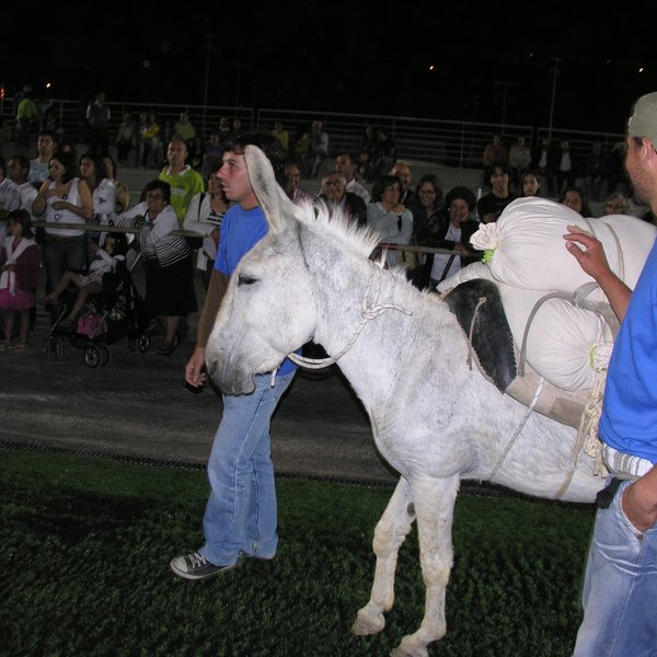 festas_s_pedro_marchas_2008_154