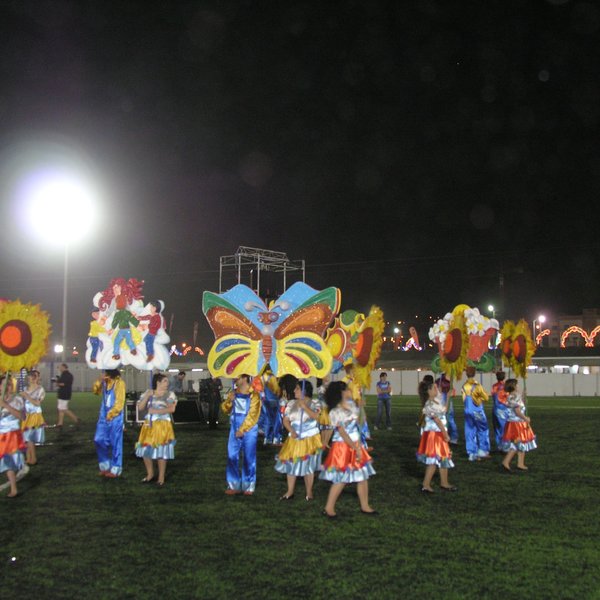 festas_s_pedro_marchas_2008_146