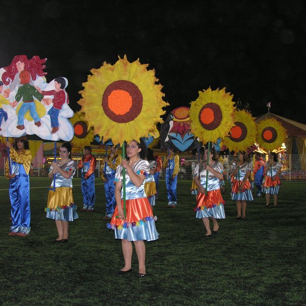 festas_s_pedro_marchas_2008_139