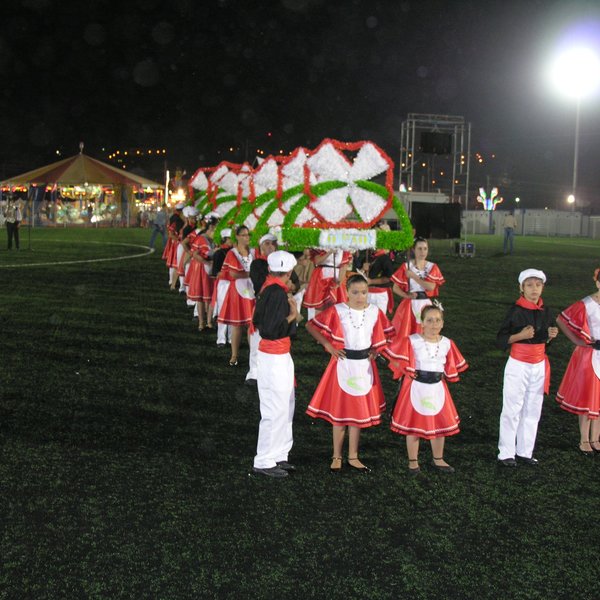 festas_s_pedro_marchas_2008_156