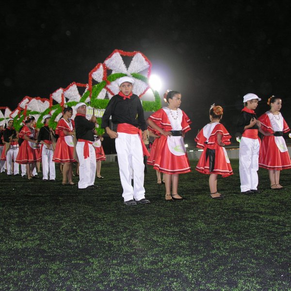 festas_s_pedro_marchas_2008_155