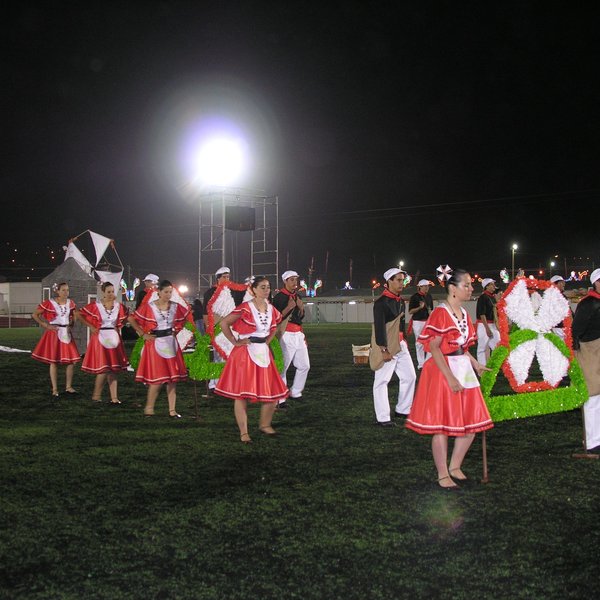 festas_s_pedro_marchas_2008_160