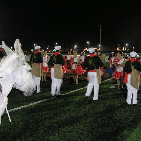 festas_s_pedro_marchas_2008_164