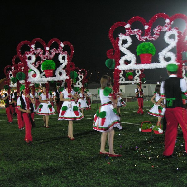 festas_s_pedro_marchas_2008_174