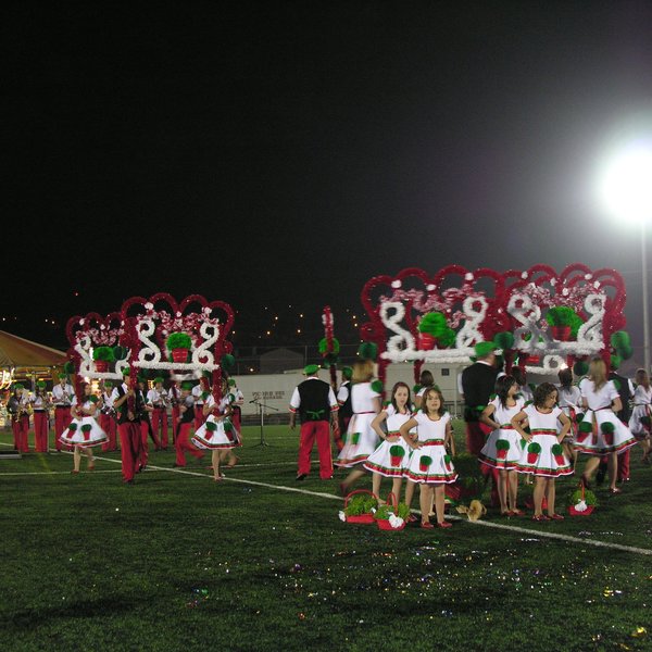 festas_s_pedro_marchas_2008_173