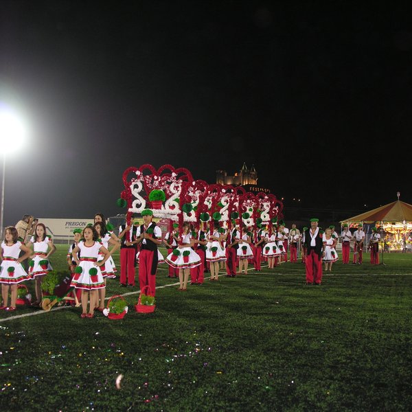festas_s_pedro_marchas_2008_170