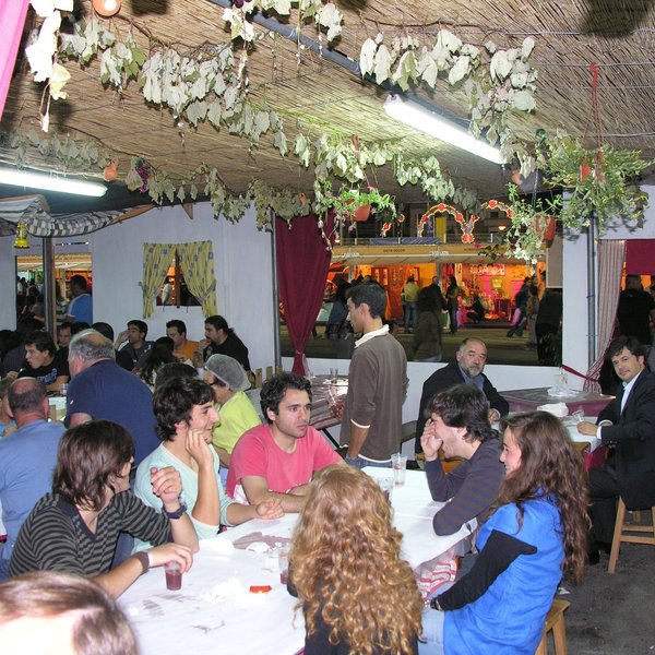 festas_s_pedro_4_06_2008_208