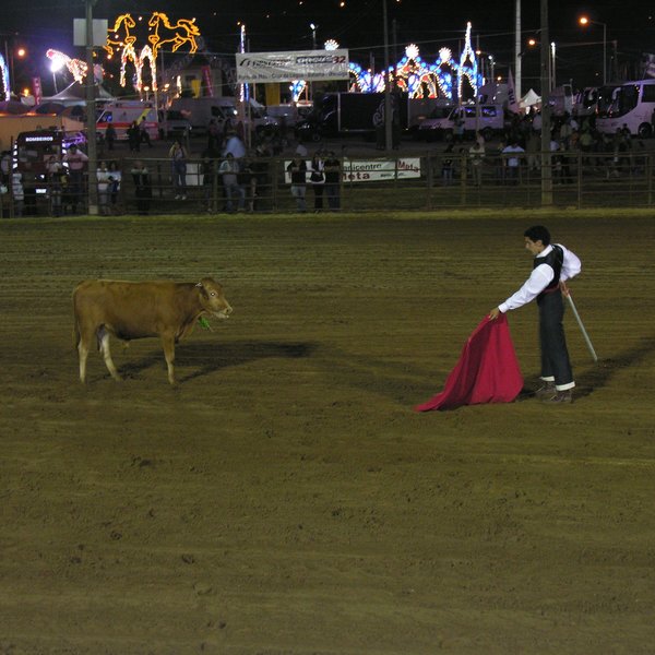 festas_s_pedro_4_06_2008_93