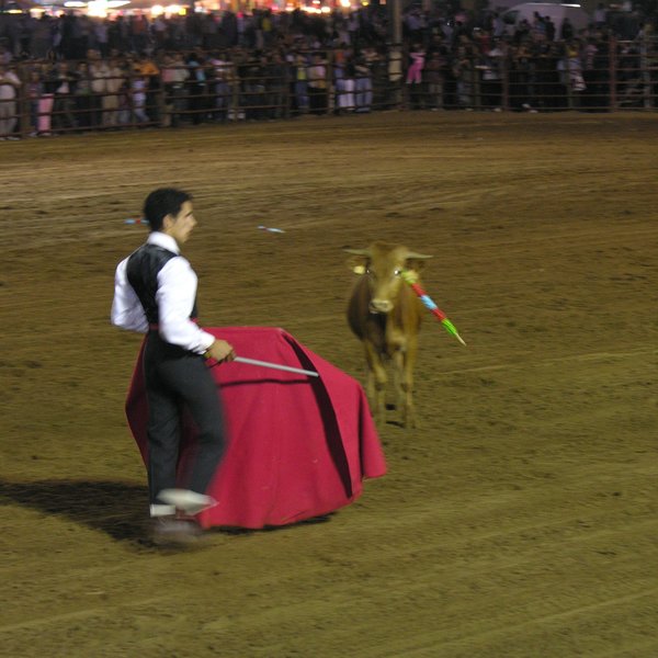 festas_s_pedro_4_06_2008_98