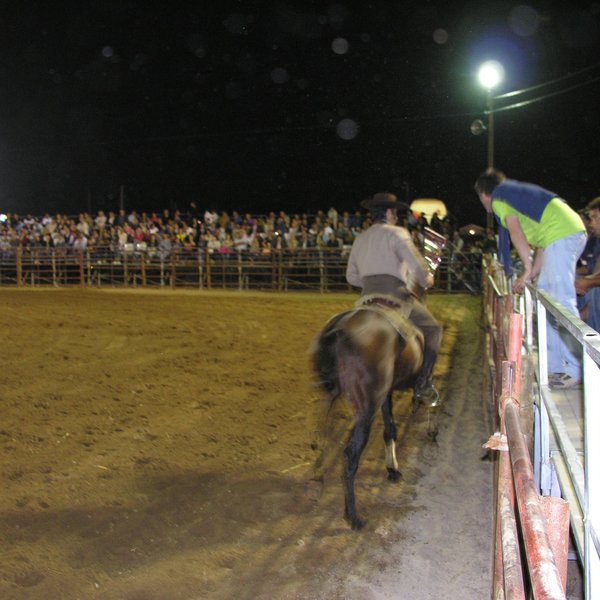 festas_s_pedro_4_06_2008_161