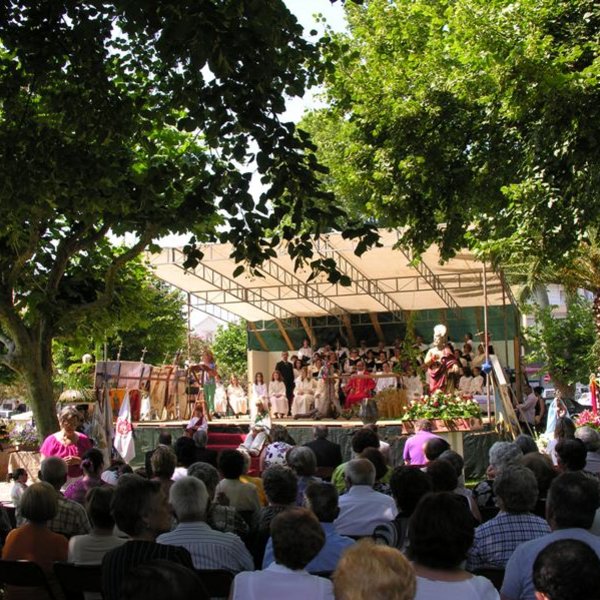 festas_s_pedro_procissao_2010_21