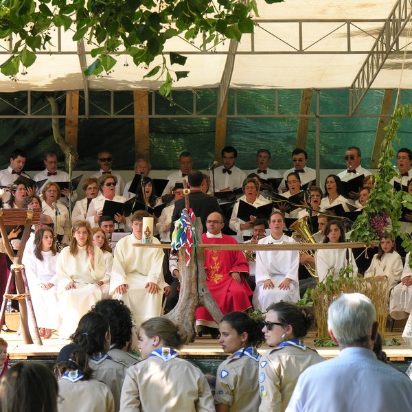 festas_s_pedro_procissao_2010_24