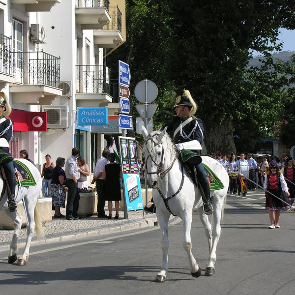 festas_s_pedro_procissao_2010_26