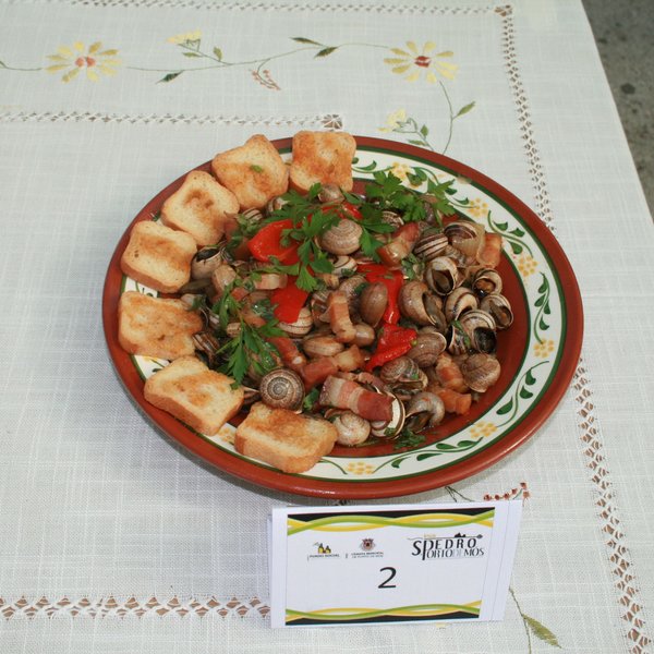 festas_s_pedro_2012_fs_163