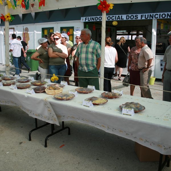 festas_s_pedro_2012_fs_155