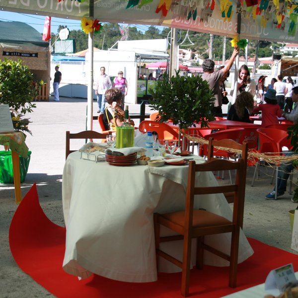 festas_s_pedro_2012_fs_151