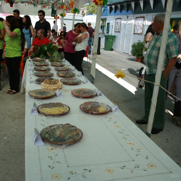 festas_s_pedro_2012_fs_158