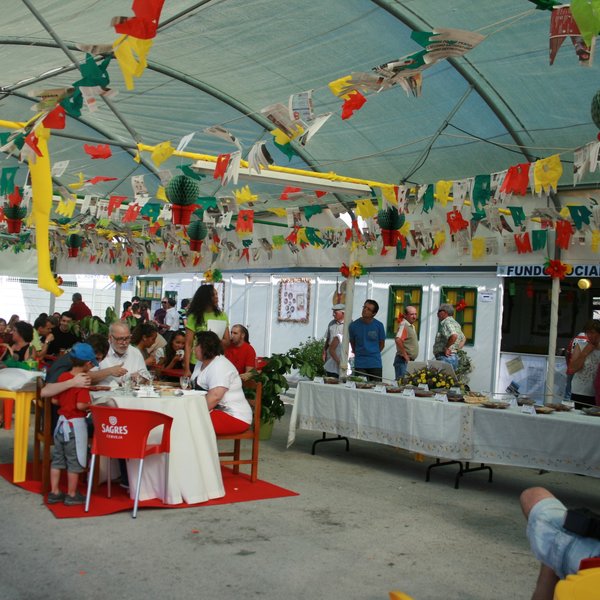 festas_s_pedro_2012_fs_172
