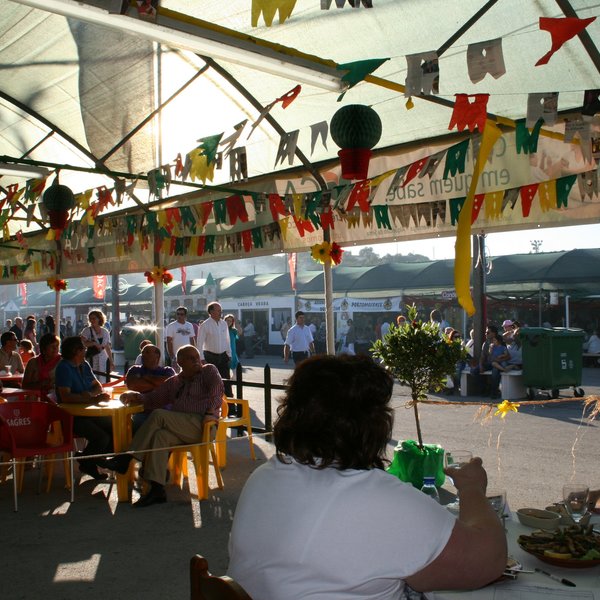 festas_s_pedro_2012_fs_233