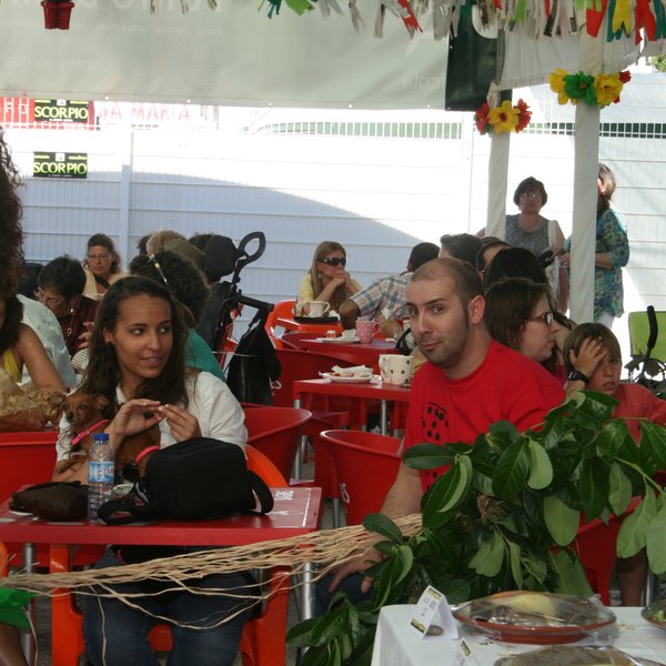festas_s_pedro_2012_fs_189