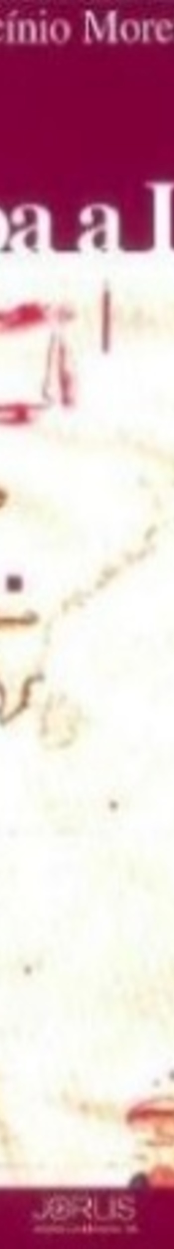 Livro_De_Goa_a_Lisboa(1)