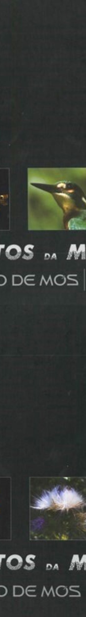 Livro_Ventos_da_Memoria