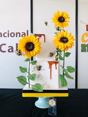 37_3lugar